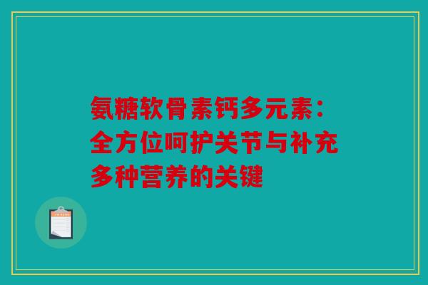 氨糖软骨素钙多元素：全方位呵护关节与补充多种营养的关键