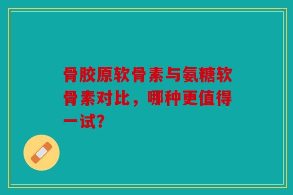 骨胶原软骨素与氨糖软骨素对比，哪种更值得一试？