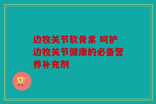 边牧关节软骨素 呵护边牧关节健康的必备营养补充剂