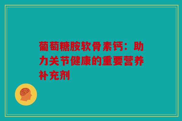 葡萄糖胺软骨素钙：助力关节健康的重要营养补充剂
