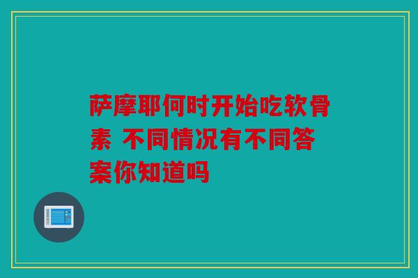 萨摩耶何时开始吃软骨素 不同情况有不同答案你知道吗