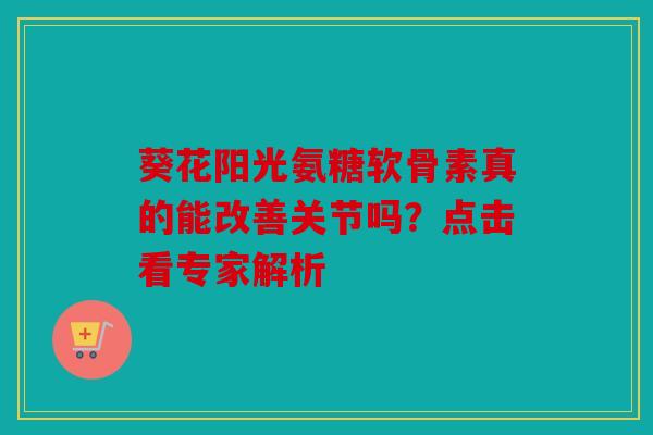 葵花阳光氨糖软骨素真的能改善关节吗?点击看专家解析 葵花阳光氨糖软骨素真的能改善关节吗?点击看专家解析