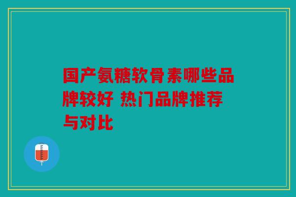 国产氨糖软骨素哪些品牌较好 热门品牌推荐与对比 国产氨糖软骨素哪些品牌较好 热门品牌推荐与对比