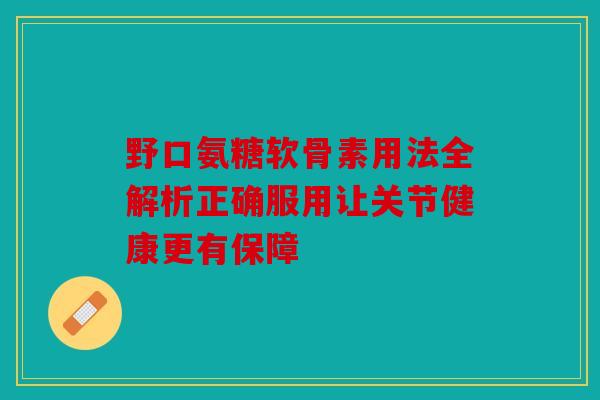 野口氨糖软骨素用法全解析正确服用让关节健康更有保障