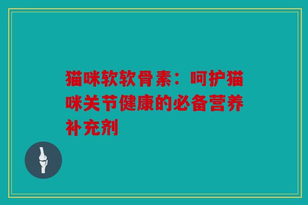 猫咪软软骨素：呵护猫咪关节健康的必备营养补充剂