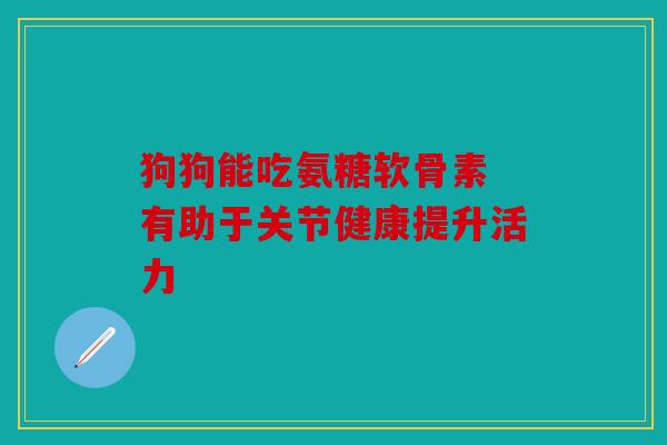 狗狗能吃氨糖软骨素 有助于关节健康提升活力
