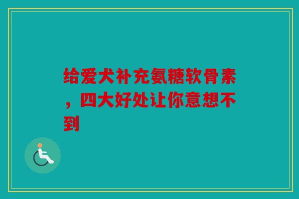 给爱犬补充氨糖软骨素,四大好处让你意想不到 给爱犬补充氨糖软骨素,四大好处让你意想不到