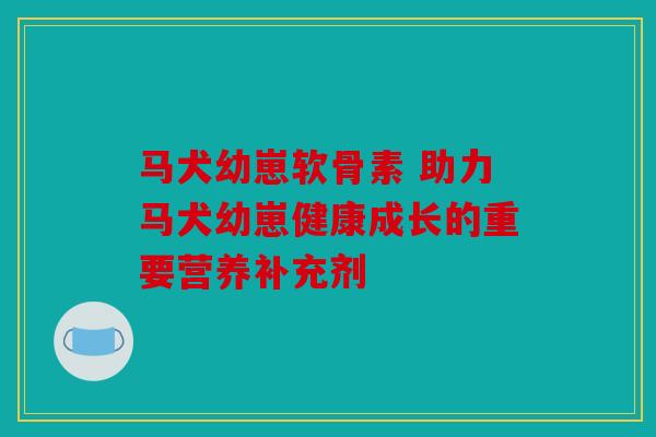 马犬幼崽软骨素 助力马犬幼崽健康成长的重要营养补充剂