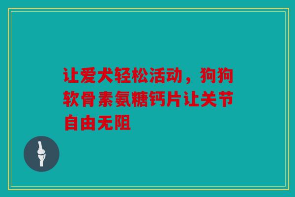 让爱犬轻松活动，狗狗软骨素氨糖钙片让关节自由无阻