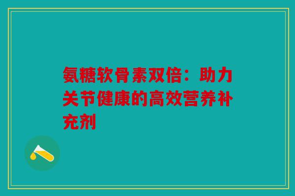 氨糖软骨素双倍：助力关节健康的高效营养补充剂