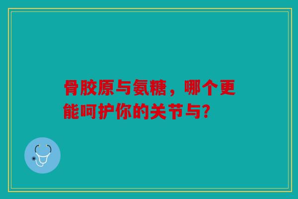 骨胶原与氨糖,哪个更能呵护你的关节与? 骨胶原与氨糖,哪个更能呵护你的关节与?