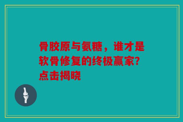 骨胶原与氨糖，谁才是软骨修复的终极赢家？点击揭晓