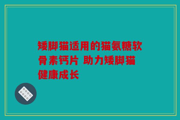 矮脚猫适用的猫氨糖软骨素钙片 助力矮脚猫健康成长